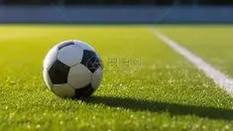 快船对尼克斯比赛分析：专家解读及让分预测